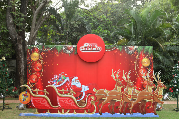 Christmas - New Year Celebration